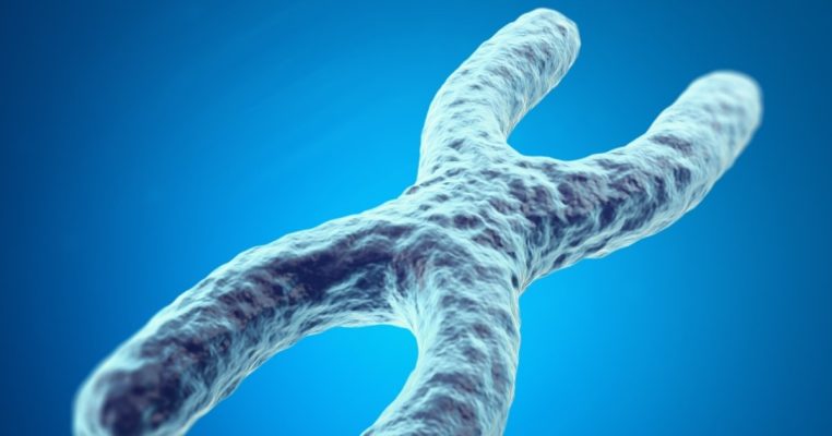 Đo Telomere Chính Xác – Xét Nghiệm Telomerase Để Hiểu Tuổi Sinh Học
