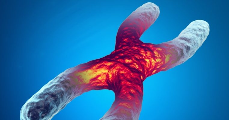 Telomere: Đo lường Telomeric DNA & Enzyme kéo dài tuổi thọ