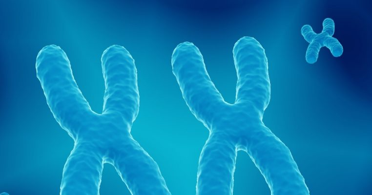 Telomere là gì? Vị trí & cách đo độ dài telomere chính xác