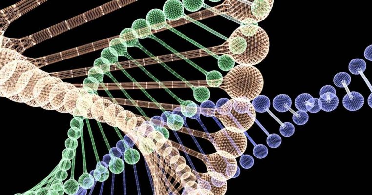 Telomere Nhiễm Sắc Thể