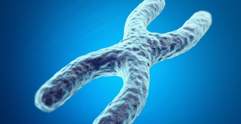 Telomere là gì