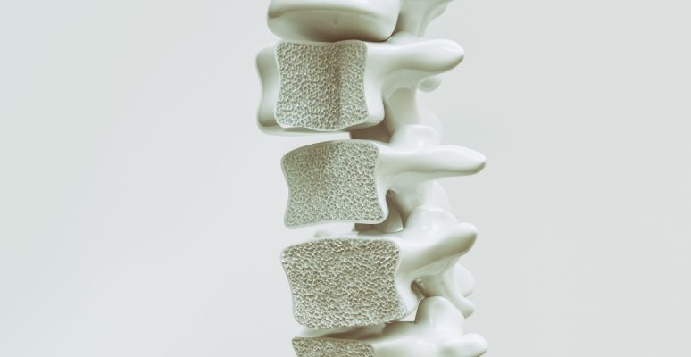 Phòng ngừa loãng xương: Cách đơn giản giúp xương khỏe mạnh mỗi ngày