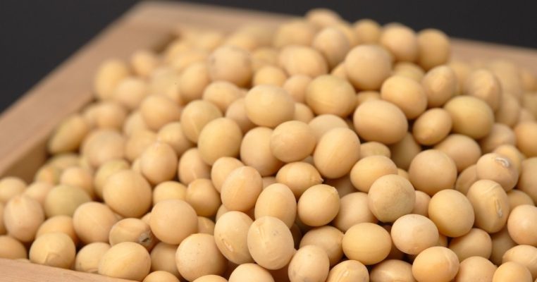 Tác dụng của đậu nành