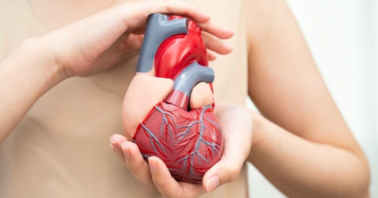 Bí quyết cải thiện sức khỏe tim mạch và lời giải khoa học cho việc NAD có tốt cho tim mạch
