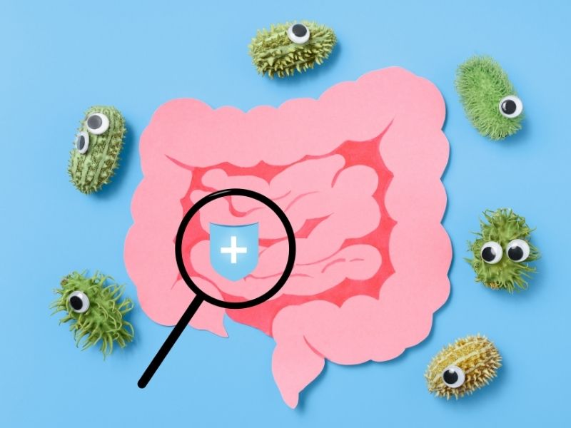 Ngăn ngừa bệnh mãn tính bằng việc bổ sung prebiotic và probiotic (Nguồn: Internet)