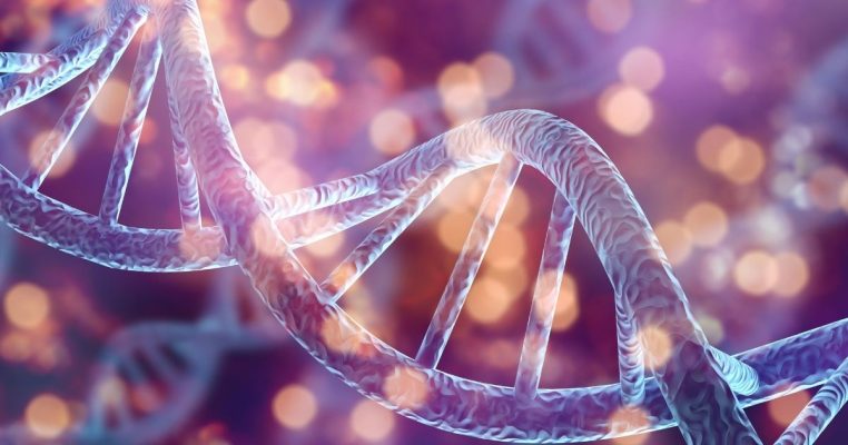 Phân tích cấu trúc phân tử và giải mã câu hỏi loại nucleotide của NAD+ là gì