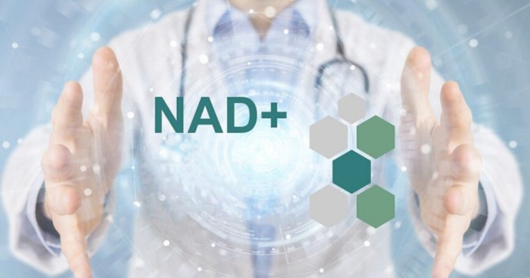 NAD cải thiện chất lượng cuộc sống tuổi trung niên như thế nào?